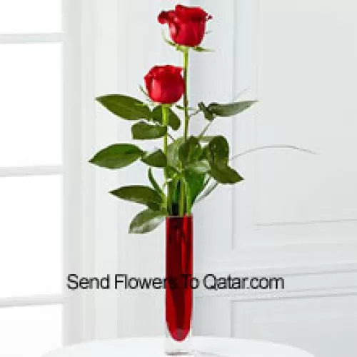 Two Red Roses In A Red Test Tube Vase (We Reserve The Right To Substitute The Vase In Case Of Non-Availability. Limited Stock)